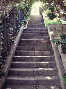 10917029_10152465980046666_679561316175634126_o