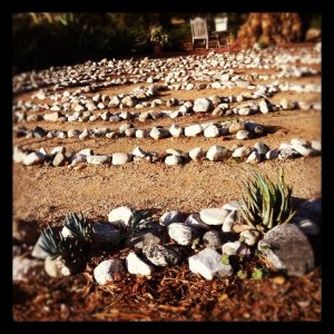 531624_10150771440561666_1674758979_n