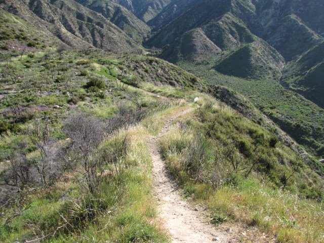 45231142_1911486552238783_773356144939761664_n